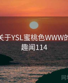 历史上关于YSL蜜桃色WWW的趣事 · 趣闻114