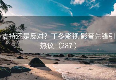 支持还是反对？丁冬影视 影音先锋引热议（287 ）