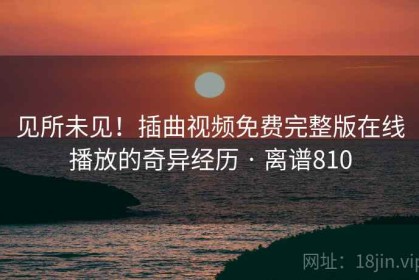 见所未见！插曲视频免费完整版在线播放的奇异经历 · 离谱810