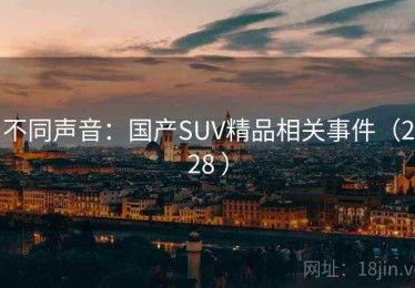 不同声音：国产SUV精品相关事件（228 ）