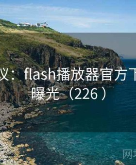 引发争议：flash播放器官方下载事件曝光（226 ）