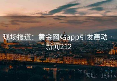 现场报道：黄金网站app引发轰动 · 新闻212