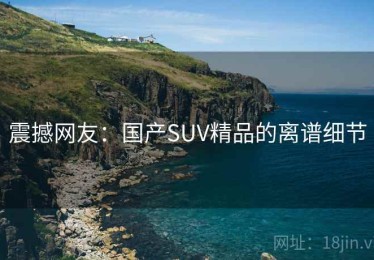 震撼网友：国产SUV精品的离谱细节