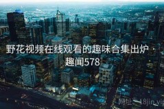 野花视频在线观看的趣味合集出炉 · 趣闻578