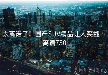 太离谱了！国产SUV精品让人笑翻 · 离谱730
