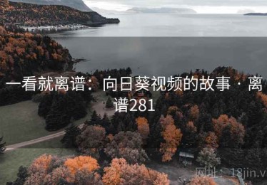 一看就离谱：向日葵视频的故事 · 离谱281