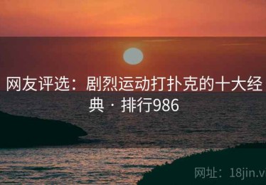网友评选：剧烈运动打扑克的十大经典 · 排行986