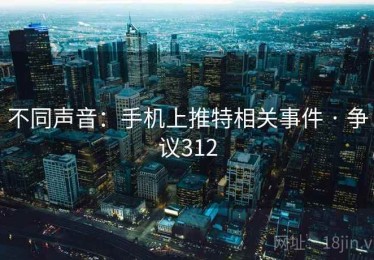 不同声音：手机上推特相关事件 · 争议312