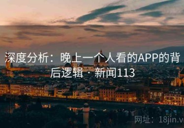 深度分析：晚上一个人看的APP的背后逻辑 · 新闻113