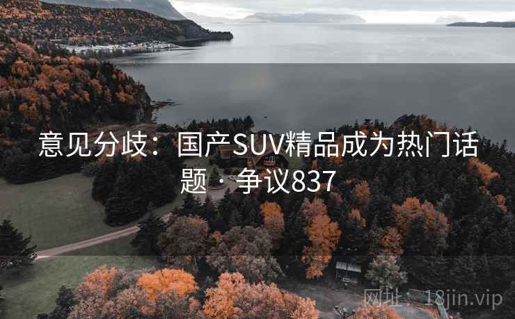 意见分歧：国产SUV精品成为热门话题 · 争议837