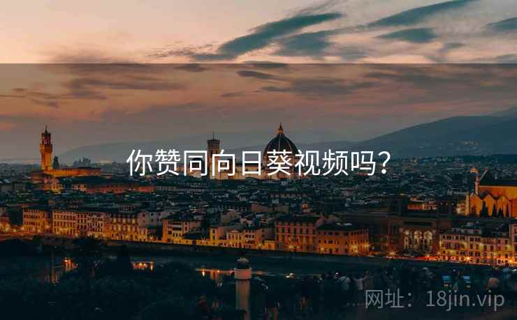你赞同向日葵视频吗？