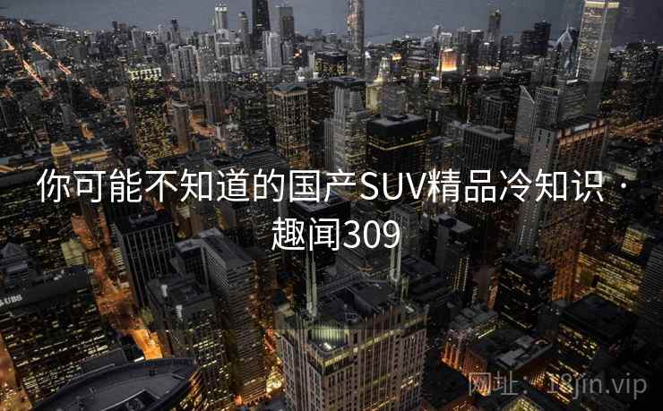 你可能不知道的国产SUV精品冷知识 · 趣闻309